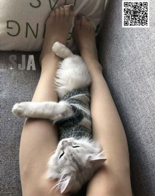年轻的母亲免费视频_高清免费观看韩国
