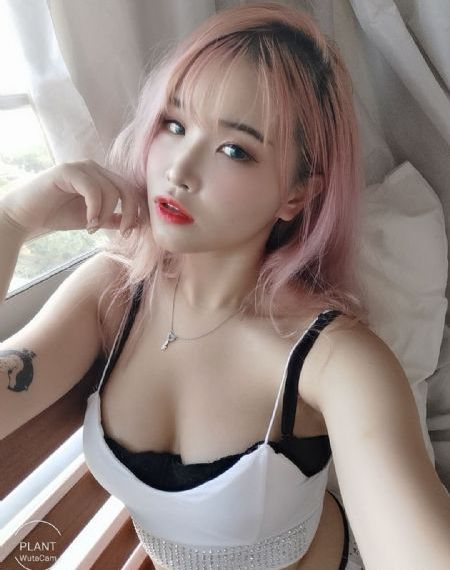 《女士的法则》电视剧_高清完整视频