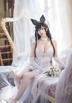 无耻之徒八季电视剧在线观看免费_HD日韩免费观看