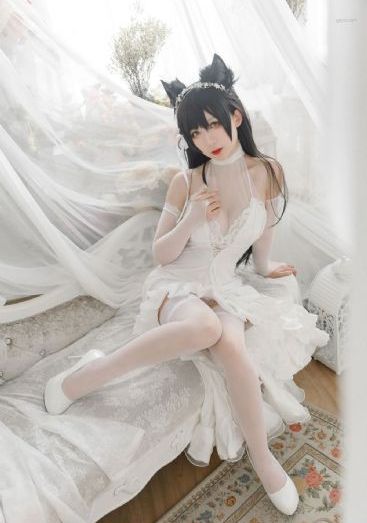 番茄影视大全在线观看_BD英语在线视频播放