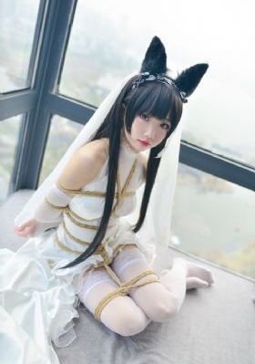 电影《宝琴》免费观看_国产在线观看